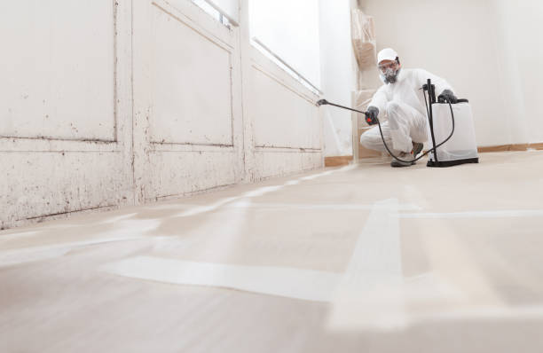 24/7 Emergency Basement Mold Remediation experts in Franklin, KY